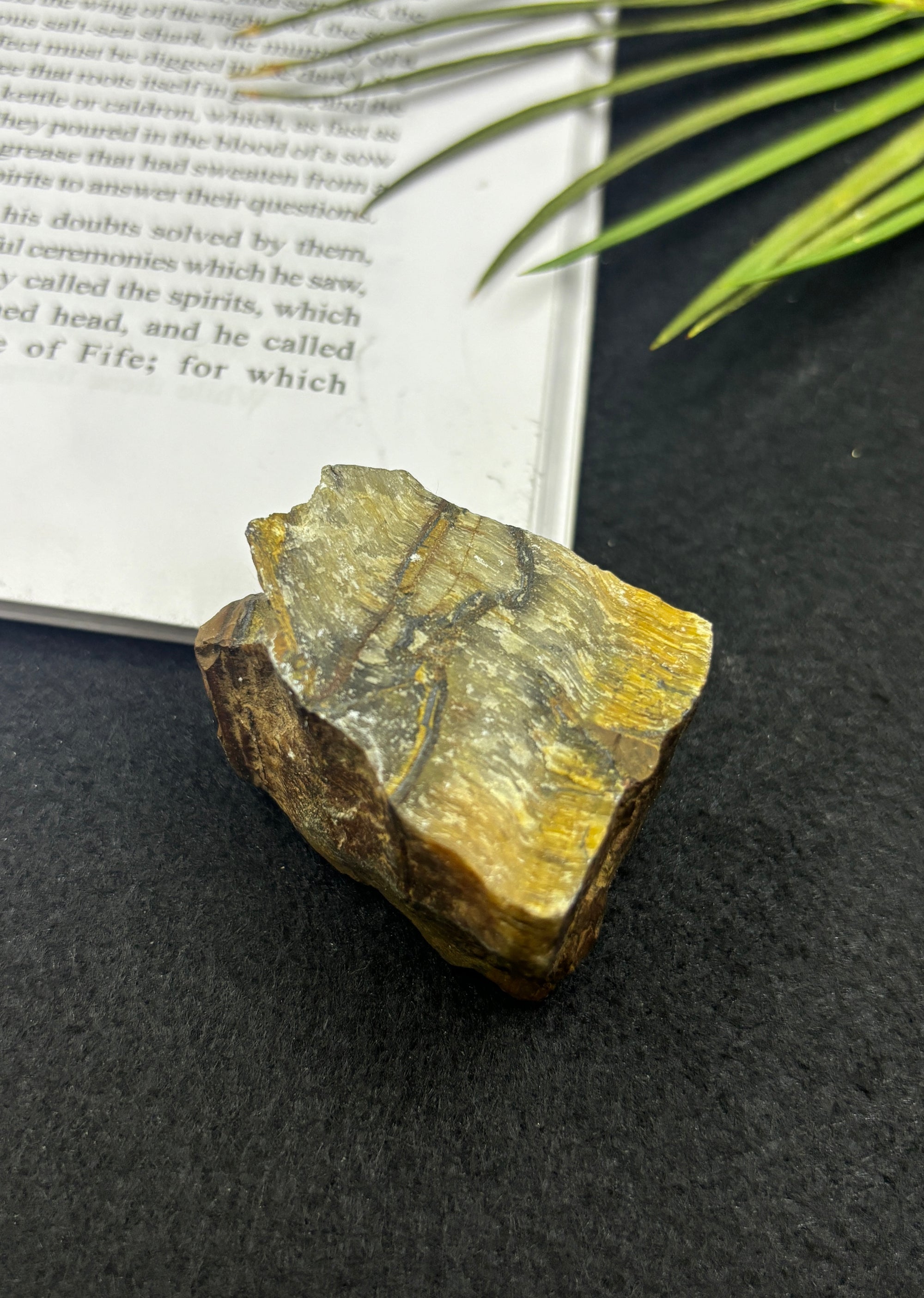 Valor - Raw Tiger Eye Cluster (Premium Quality)