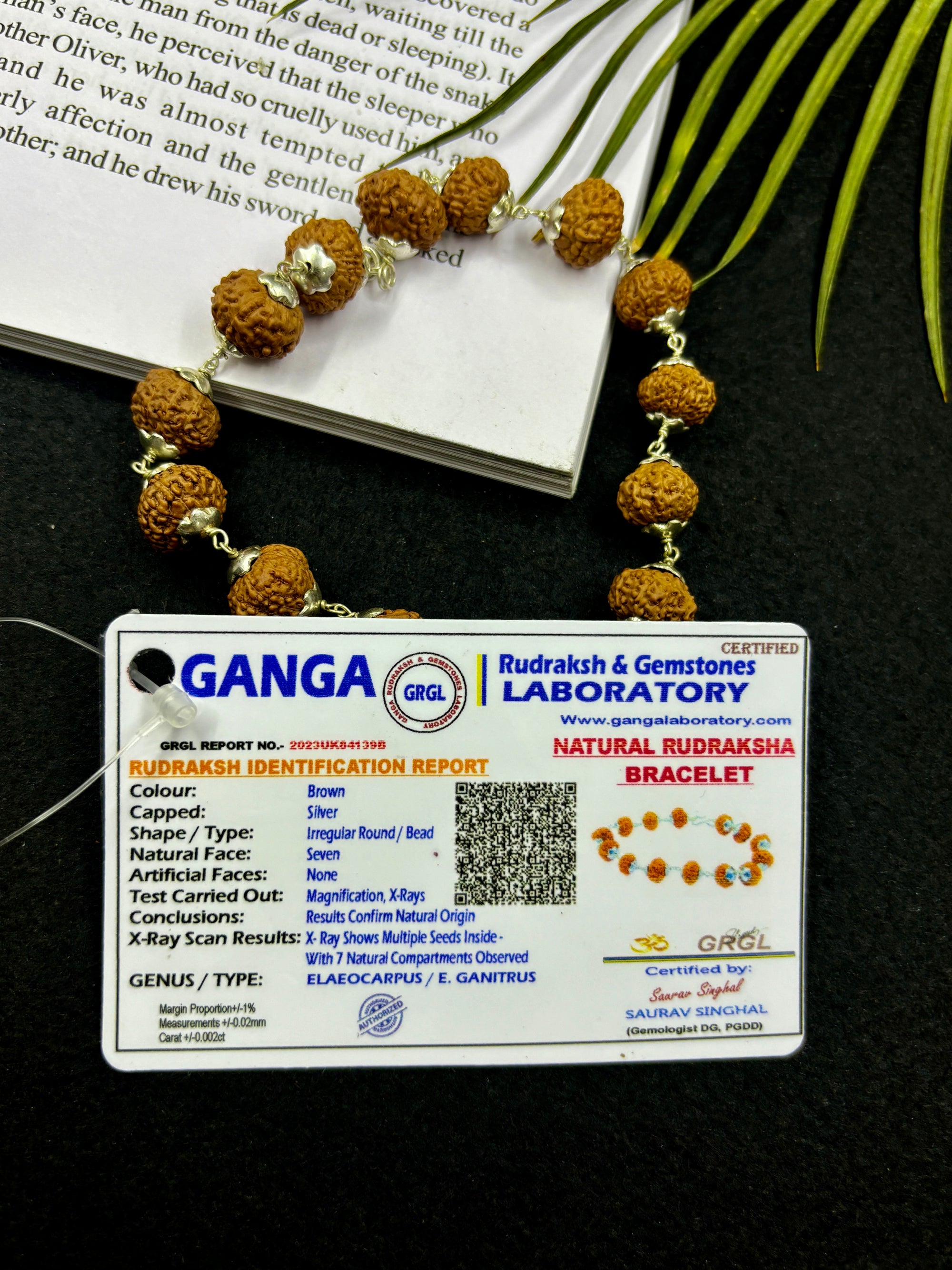 7 Mukhi Rudraksha Silver Bracelet